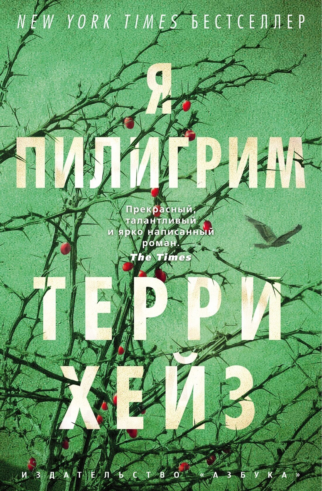 Книга Я Пилигрим