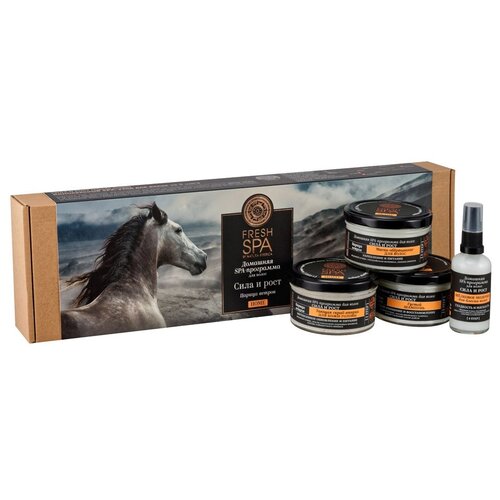 Natura Siberica Набор Fresh Spa Home Царица ветров