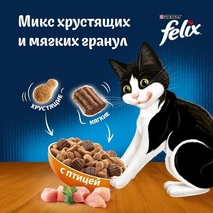 Felix Двойная Вкуснятина корм для взрослых кошек всех пород, птица 1,3 кг - фотография № 2