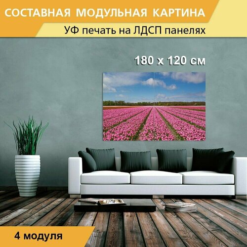 Модульная картина 