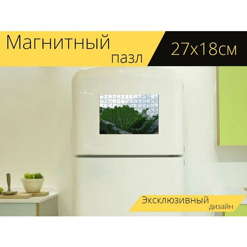 Магнитный пазл Капуста, трава, еда на холодильник 27 x 18 см. магнитный пазл цветная капуста еда брокколи на холодильник 27 x 18 см