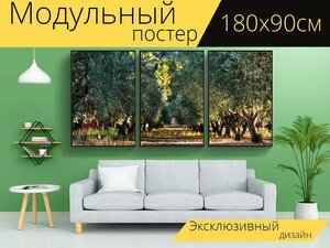 Модульный постер "Оливковое дерево, дерево, оливки" 180 x 90 см. для интерьера