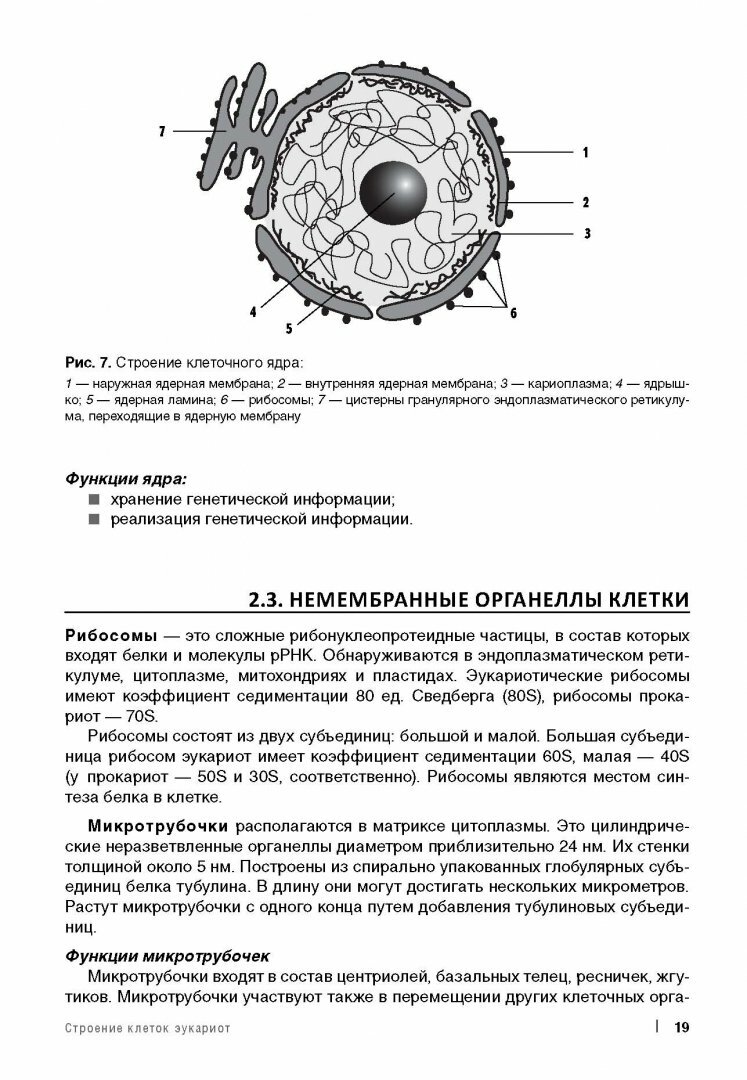 Медицинская паразитология (Мяндина Галина Ивановна, Тарасенко Екатерина Владимировна (художник)) - фото №12