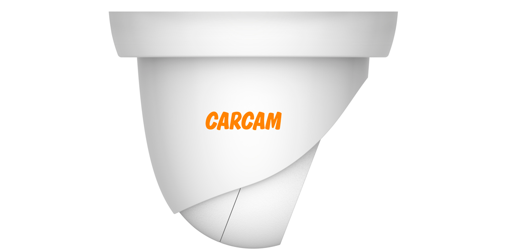 Купольная IP-камера с поддержкой POE и моторизированным объективом CARCAM - фото №3