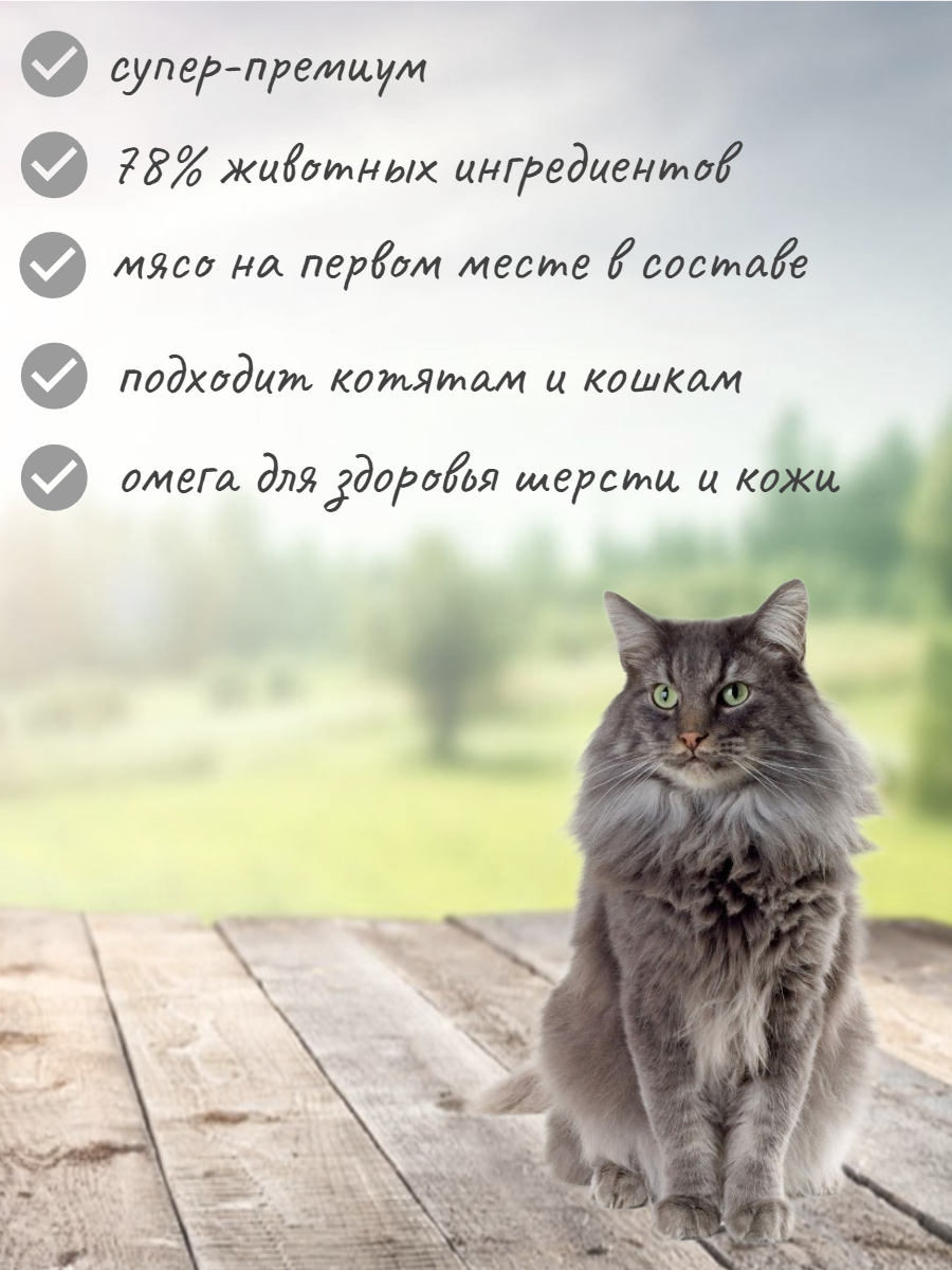 Go! Kitchen Skin + Coat Care - Сухой корм для котят и кошек с лососем, фруктами и овощами (1,36 кг) - фотография № 18