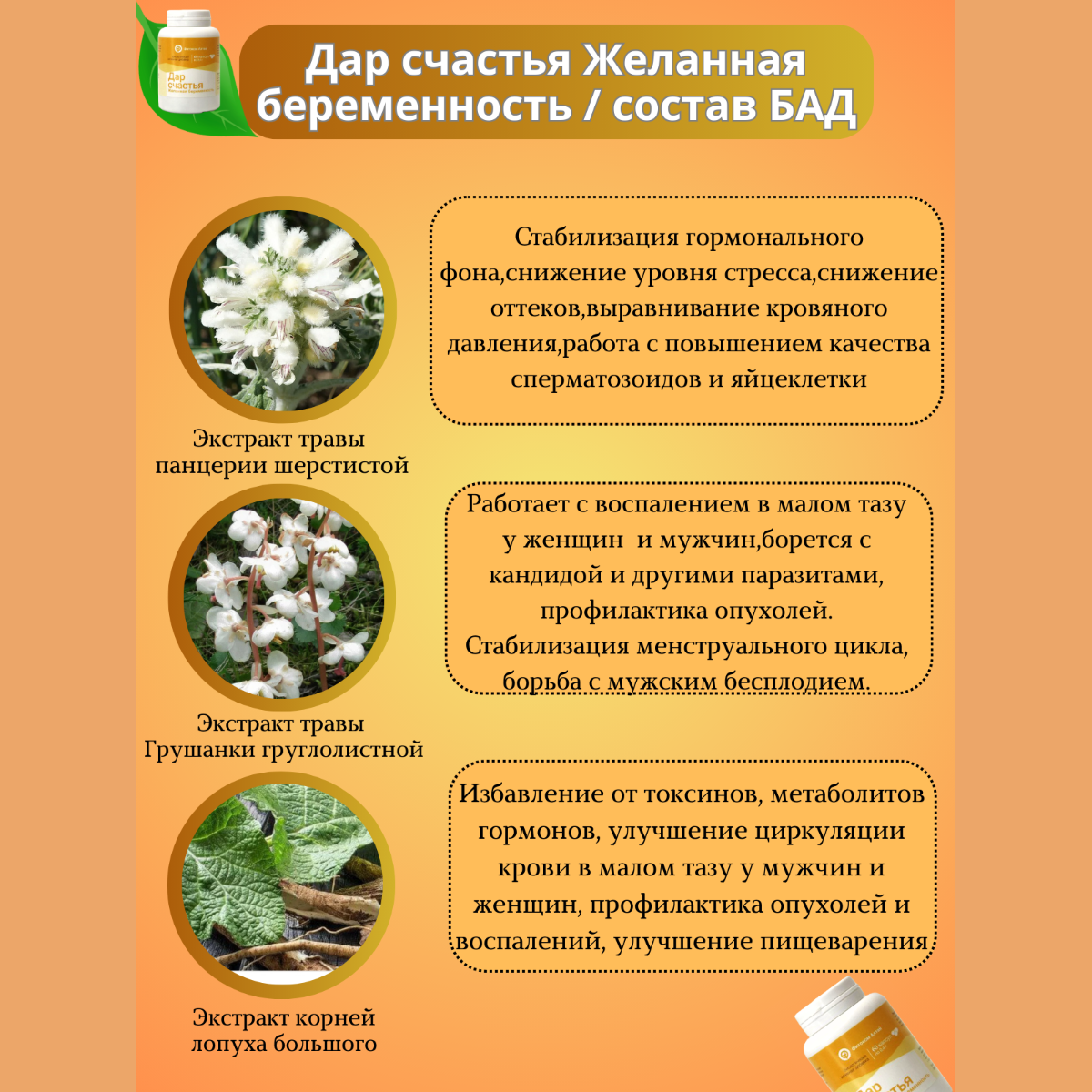 Капсулы фитоком "Дар счастья", экстракты в капсулах, бады, витамины для зачатия, 60 капс, Фитоком Алтай — фото 1