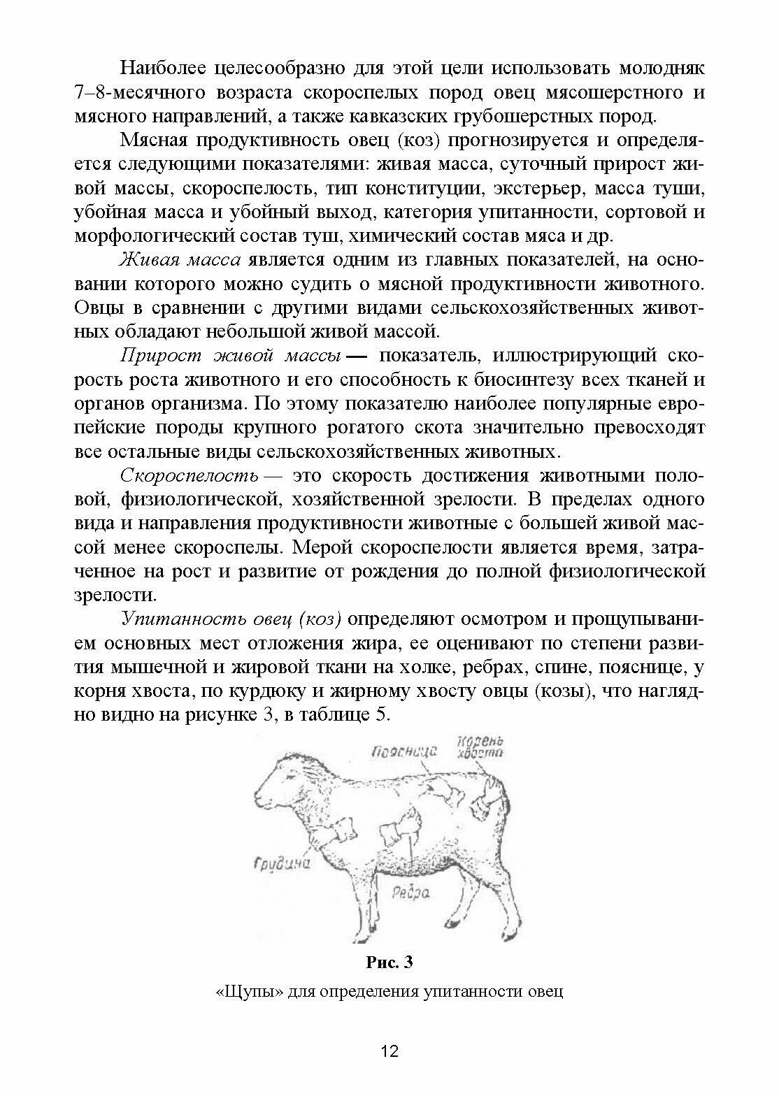 Овцеводство.Практикум.Уч.СПО (Юлдашбаев Юсупжан Артыкович, Улимбашев Мурат Борисович) - фото №5
