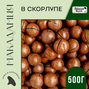 Полезно и Вкусно! Орех макадамия в скорлупе (с ключом в комплекте), 500г