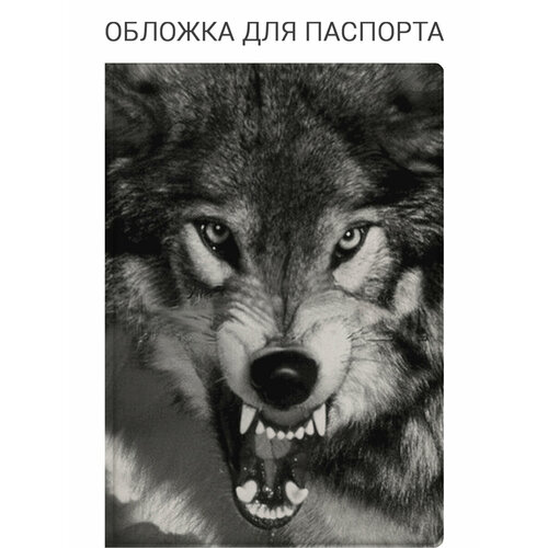 фото Обложка для паспорта elole design, белый, черный