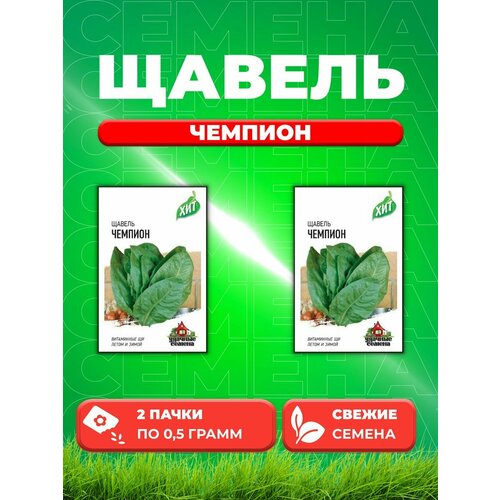 щавель чемпион семена среднеспелый сорт высотой до 40 см лист удлиненно овальный зеленый крупный очень сочный вкус слабокислый Щавель Чемпион 0,5 г ХИТ х3 (2уп)