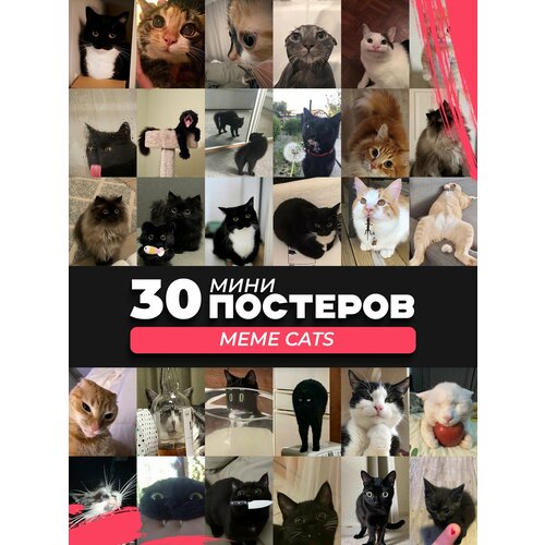 Набор мини постеров котики