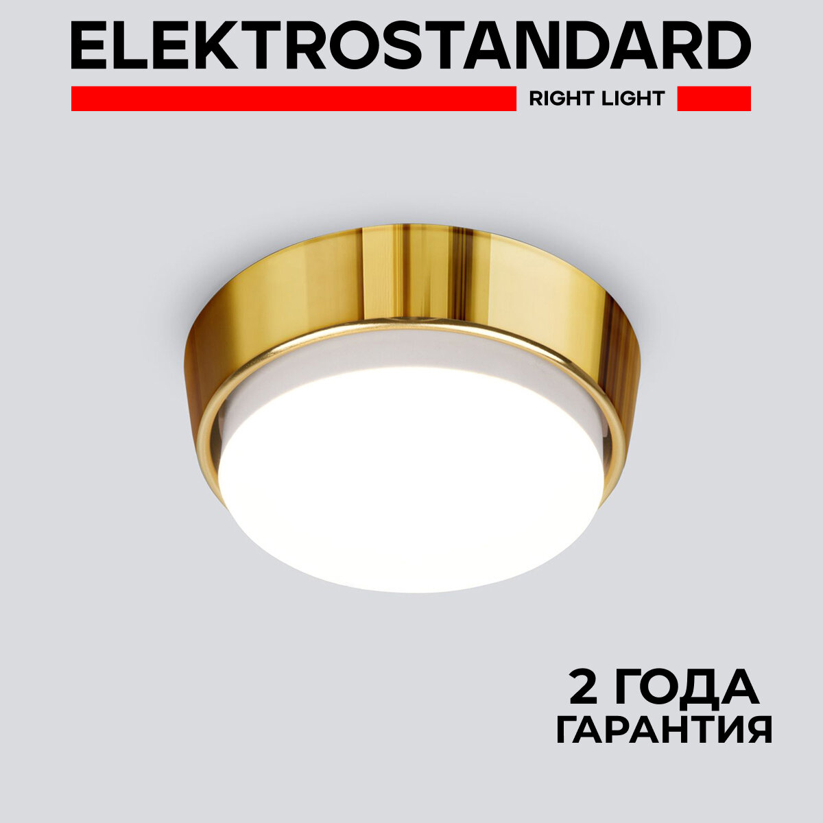 Накладной потолочный светильник Elektrostandard 1037 GX53 GD золото