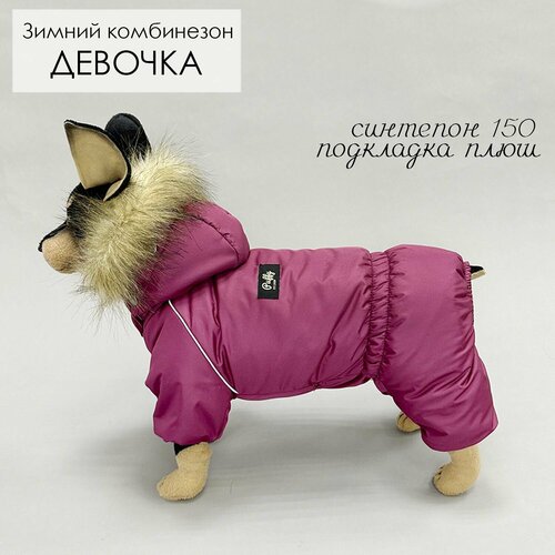 Комбинезон, одежда для собак мелких и средних пород, пуховик для животных (девочек) Аляска