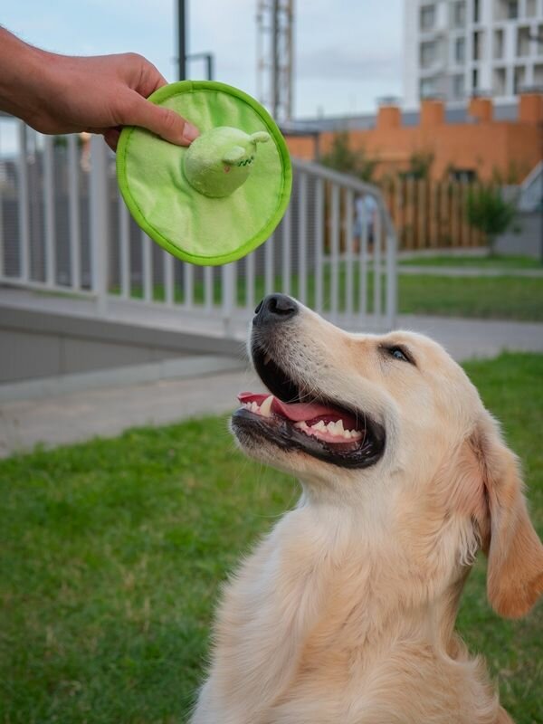 Игрушка для собак Japan Premium Pet Летающая тарелка Фрогги (фрисби)