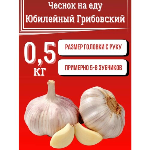 Чеснок для еды Россия 600₽