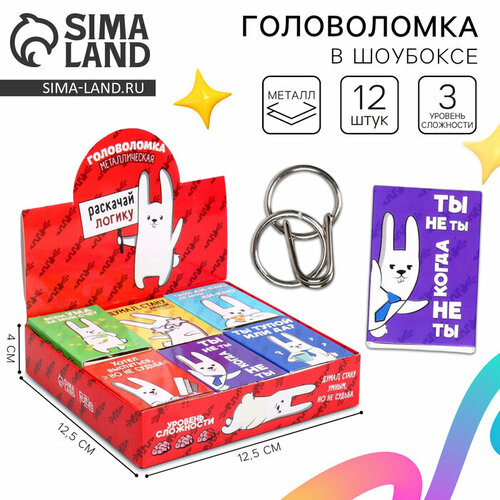 Головоломка металлическая «Раскачай логику», микс, в шоубоксе