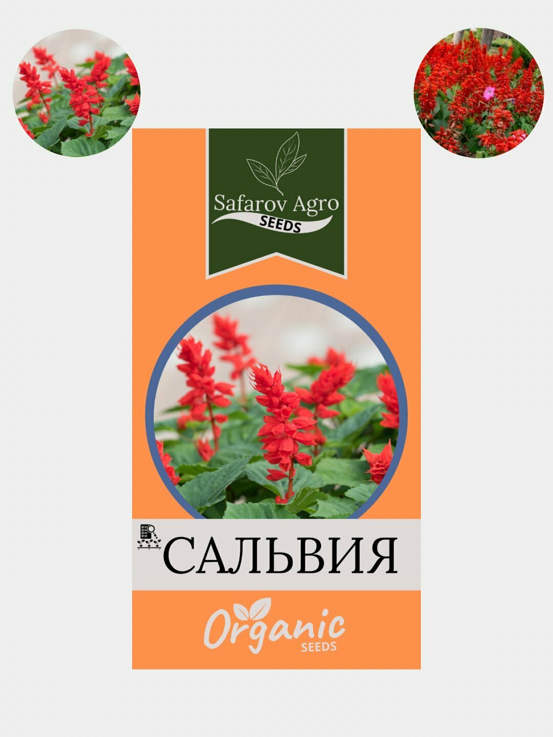 Семена цветов Цинния, Портулак, Гвоздика, Клеома, Георгина. Сальвия, семя