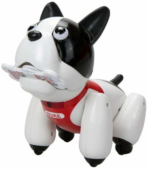 Робот Silverlit Собака Дюк, белый/черный/красный