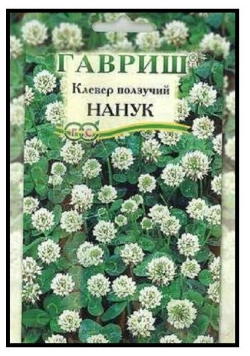 Гавриш Клевер ползучий белый Нанук (сидерат) большой пакет, 0,1 кг