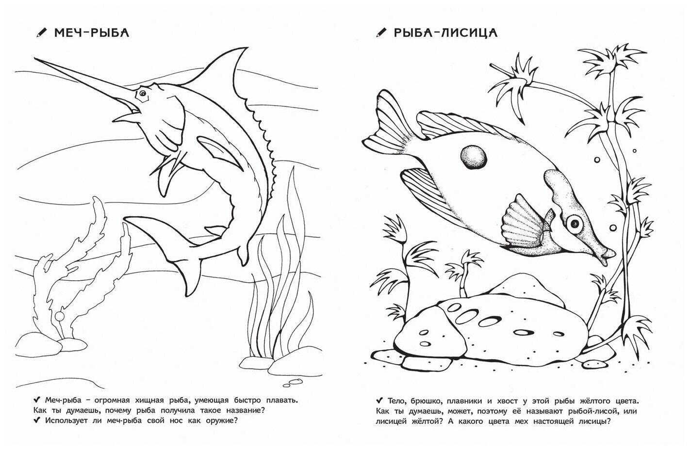 Раскраска Росмэн Раскраски для д/с. Кто живет в воде - фото №3