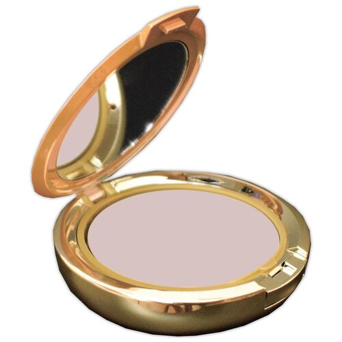 Coverderm Компактная пудра для жирной кожи лица Camouflage Compact Powder 2 10 г