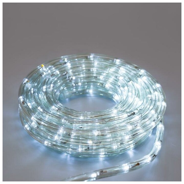 LED шнур 10 мм, круглый, 20 м, чейзинг, 2W-LED/м-24-220V, с контр. 8р, Белый Luazon Lighting 1589832 - фотография № 12