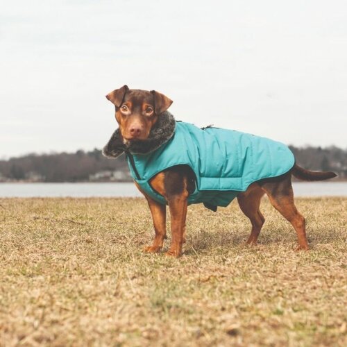 Зимняя куртка Dog Gone Smart Наноя с мех. воротником Hemlock Jacket 25см, синий лазурит