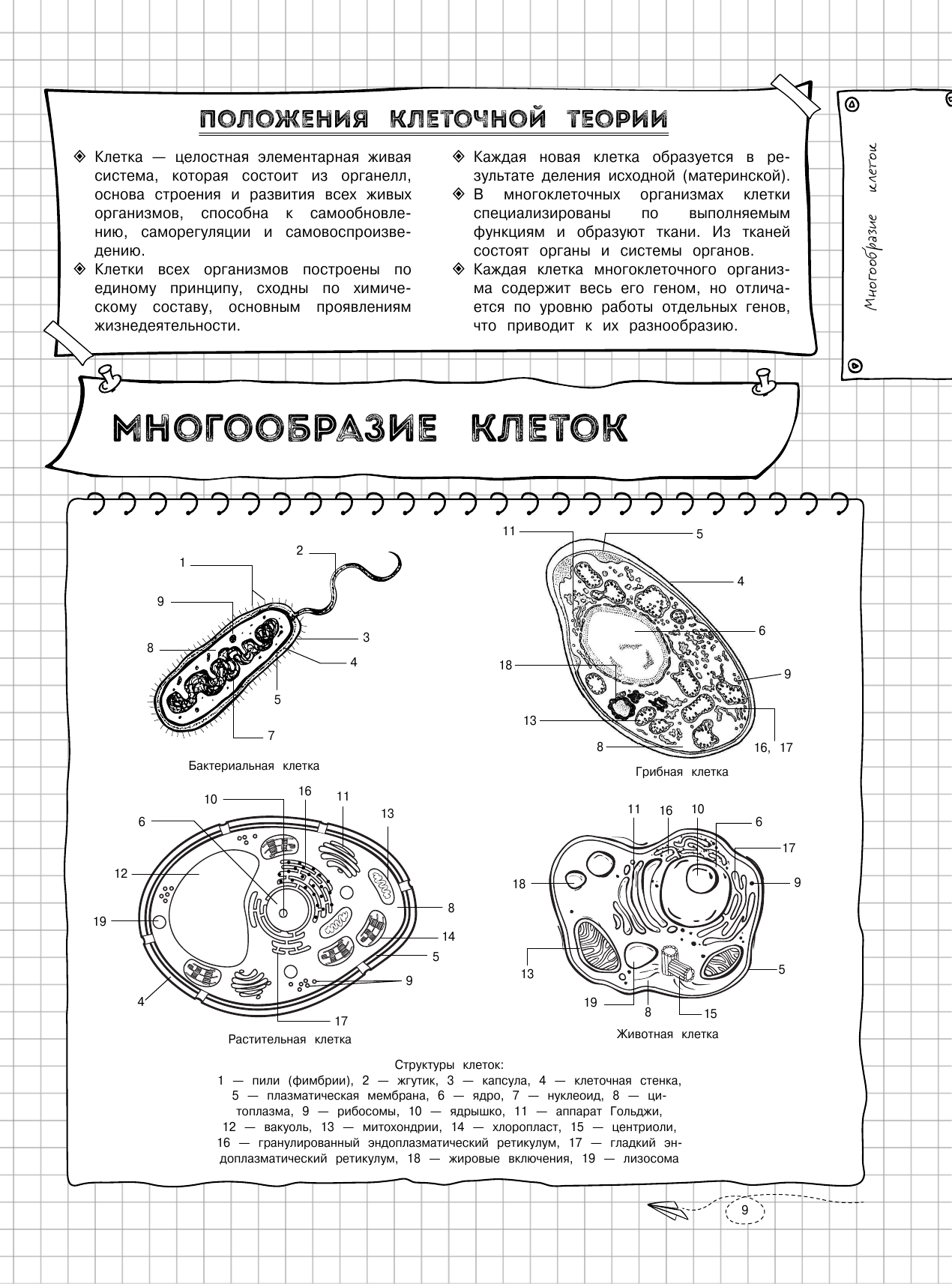 Наглядная биология (Мазур Оксана Чеславовна) - фото №13