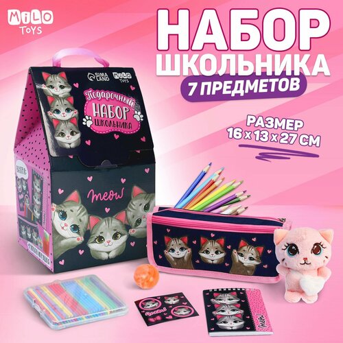 Подарочный набор школьника с мягкой игрушкой «Кот», 7 предметов