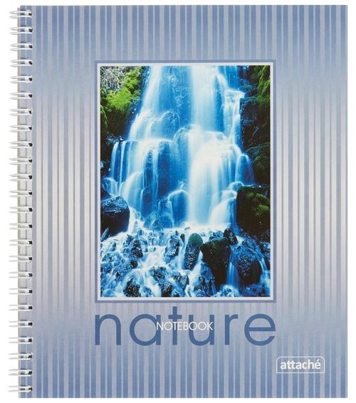 Attache Тетрадь общая Nature А5, клетка, 96 л., голубой