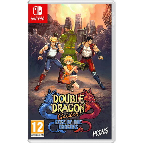 Double Dragon Gaiden Rise of the Dragons [Nintendo Switch, английская версия]