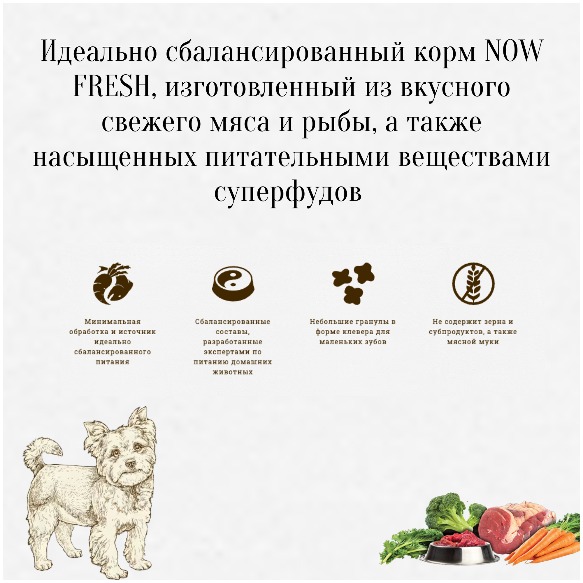 Сухой корм для собак Now Fresh Adult для мелких пород беззерновой с индейкой уткой и овощами 2.72кг - фото №5