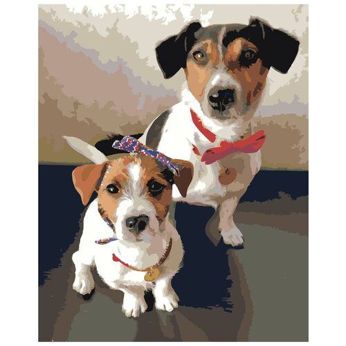 Две собаки джек рассел Раскраска картина по номерам на холсте картина по номерам две картинки raduga свеча перо и скрипка в рамке