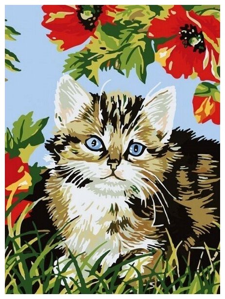 Котенок в цветах #009-CE Белоснежка Раскраска по номерам 30 х 40 см