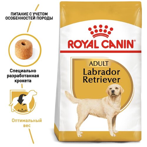 Сухой корм для собак Royal Canin Лабрадор Ретривер 1 уп. х 2 шт. х 12 кг (для средних и крупных пород) корм для собак royal canin labrador retriever puppy лабрадор ретривер паппи сухой для