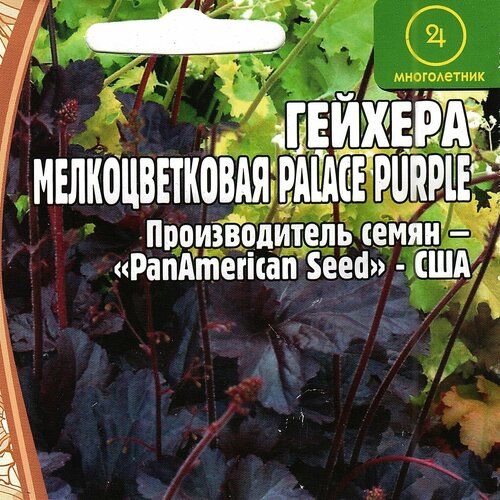 Гейхера мелкоцветковая PALACE PURPLE, многолетний кустарник ( 1 уп: 10 семян ) азалия рододендрон шлиппенбаха многолетний кустарник 1 уп 0 01 г