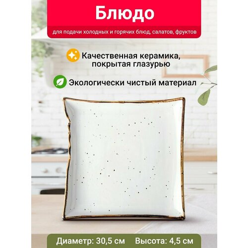 Блюдо квадратное Velton Park (керамика, 30,5х4,5 см, белый)