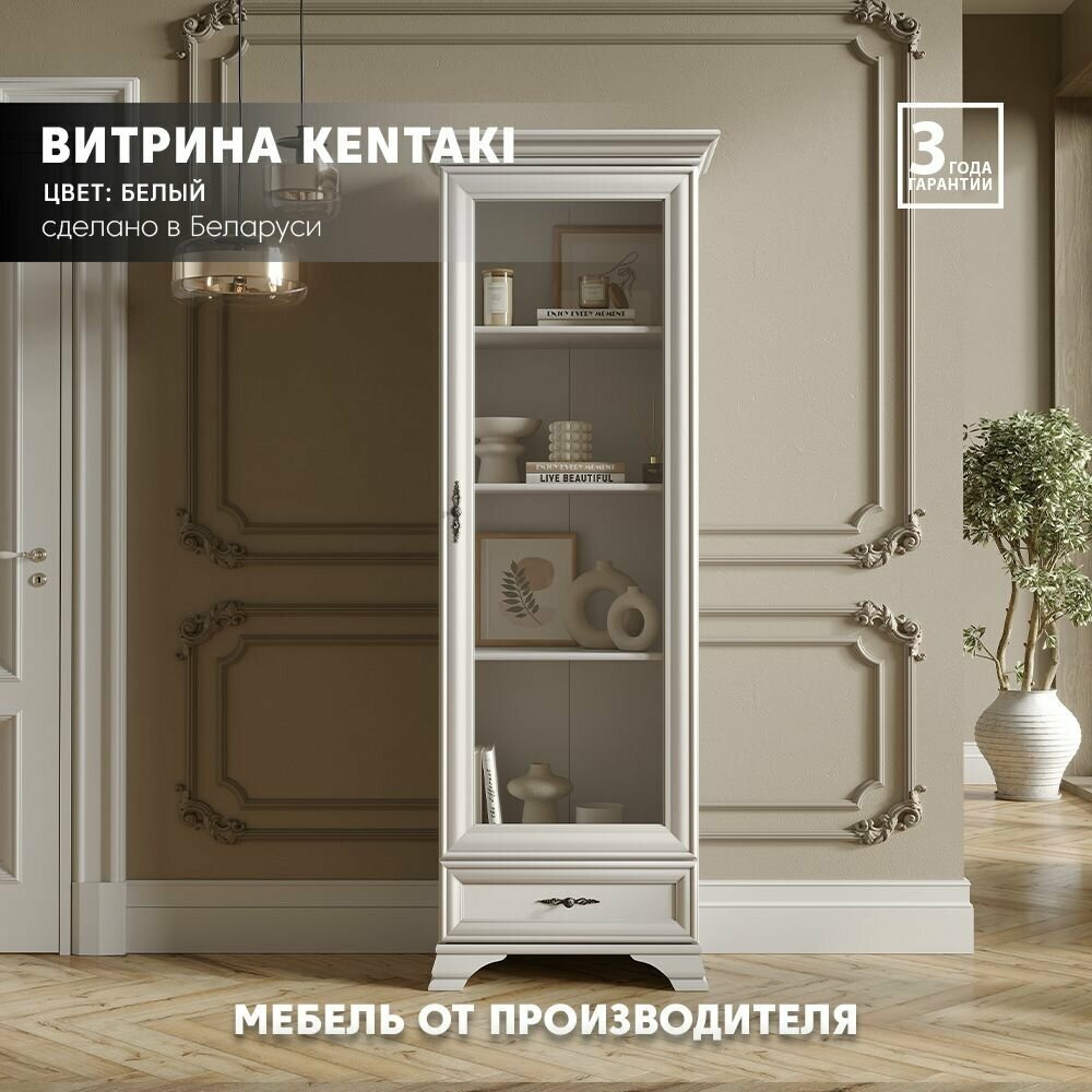 Витрина Kentaki REG1W1S (Белый) Black Red White