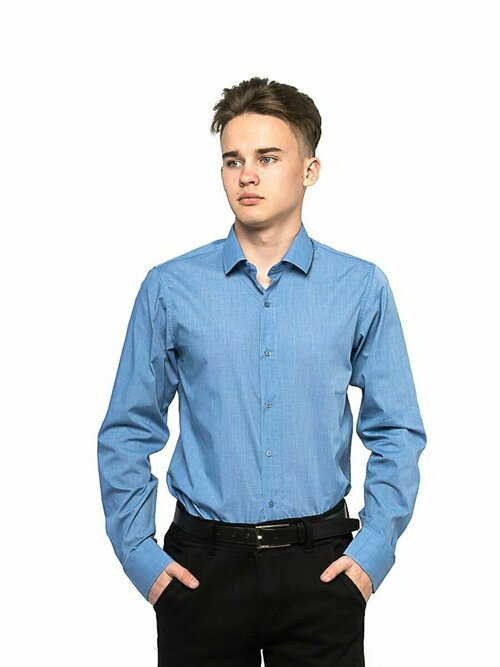 Рубашка Maestro, размер 37 ворот/176-182, синий