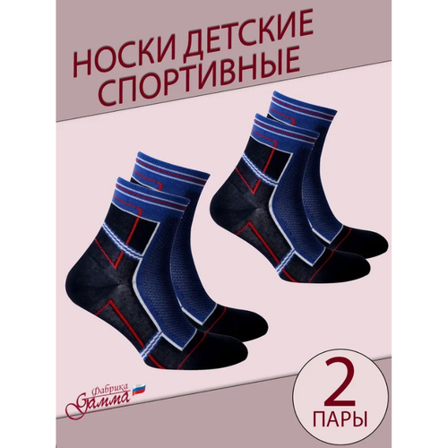 фото Носки гамма 2 пары, размер 16-18(24-28), синий