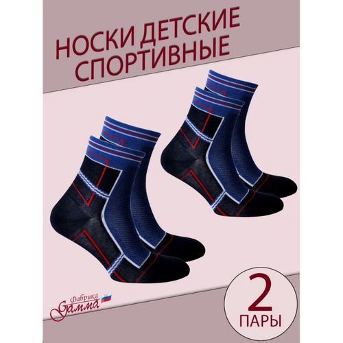 Носки Гамма детские, 2 пары, размер 16-18(24-28), синий