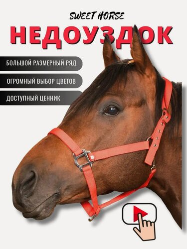 Изображение товара Sweethorse / Недоуздок для лошади и пони PONY