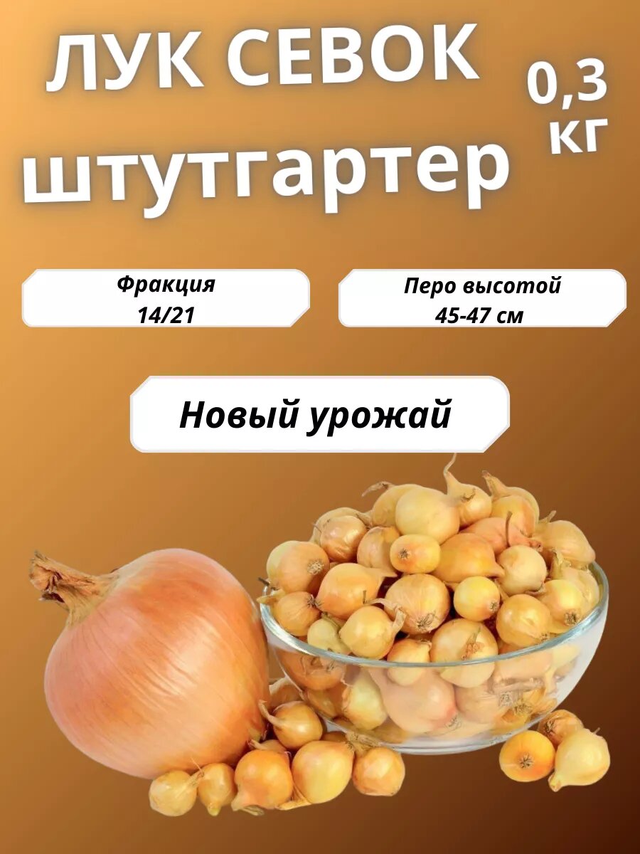 Лук севок Штутгартер Ризен 300гр.