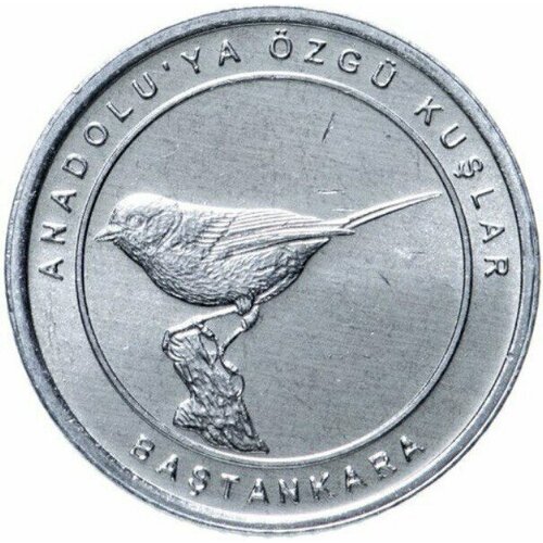 Монета 1 куруш Синица. Анталийские птицы. Турция, 2020 г. в. Состояние UNC монета 1 куруш турция 2005 г в состояние unc без обращения