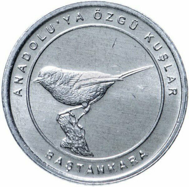 Памятная монета 1 куруш Синица. Анталийские птицы. Турция 2020 г. в. Монета в состоянии UNC