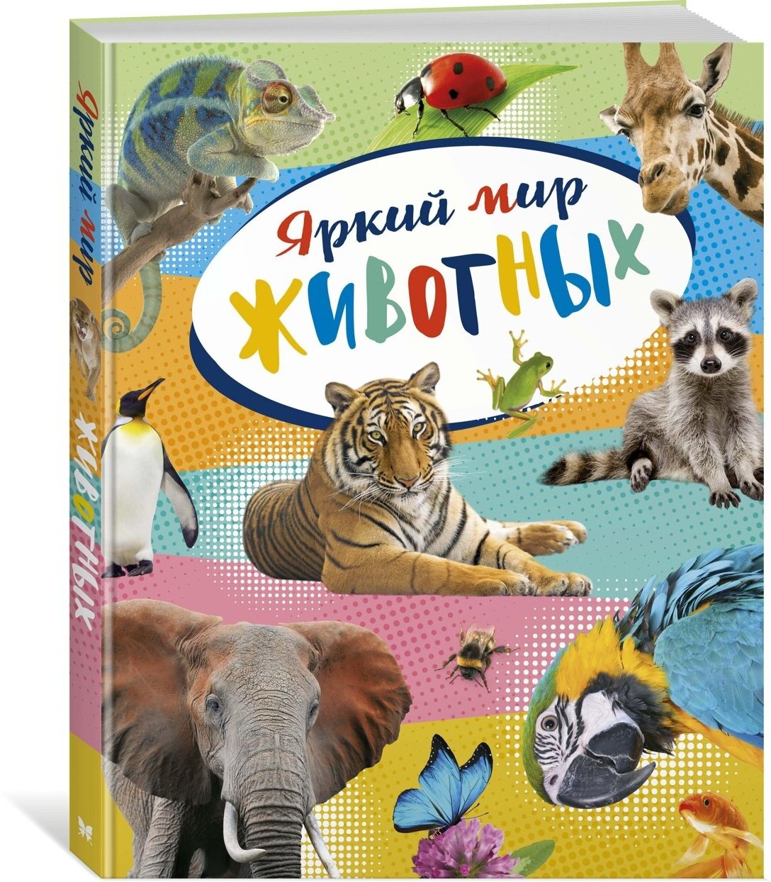 Книга Яркий мир животных