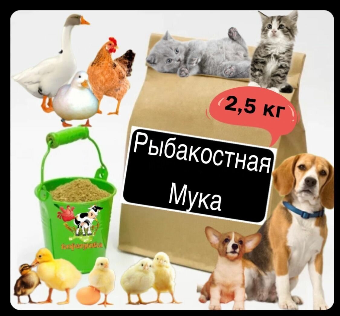 Рыбная мука для животных 2,5 кг - фотография № 1