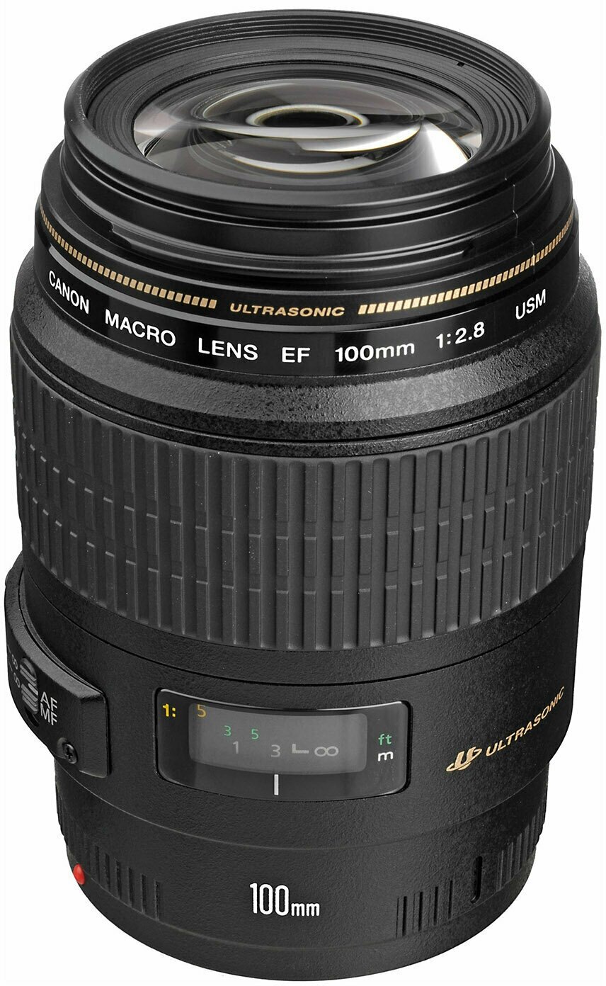 Объектив Canon EF 100mm f/2.8 Macro USM — купить в интернет