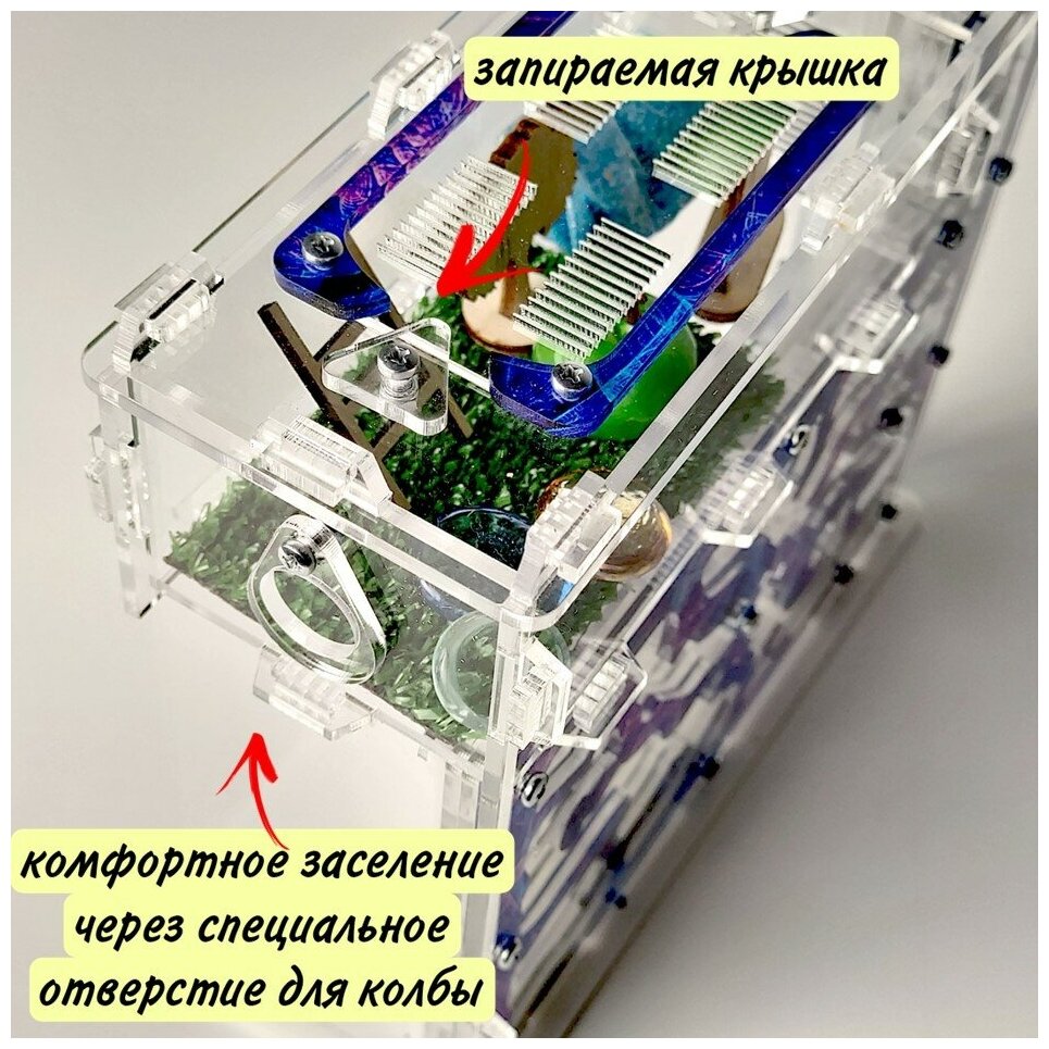 Вертикальная муравьиная ферма "Космос" XL 17х19см Большой набор - фотография № 3