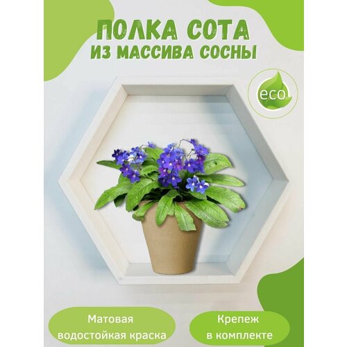 Полка настенная сота навесная